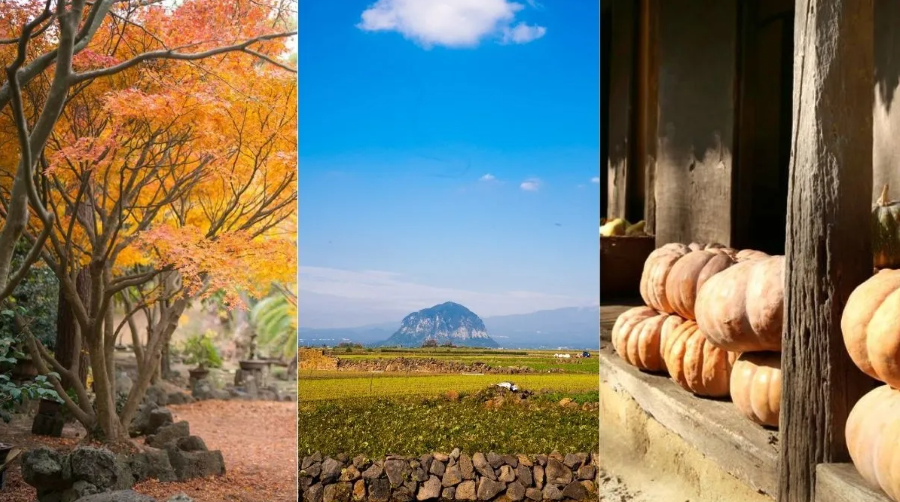 Đảo Jeju - viên ngọc quý ẩn mình giữa biển khơi mênh mông