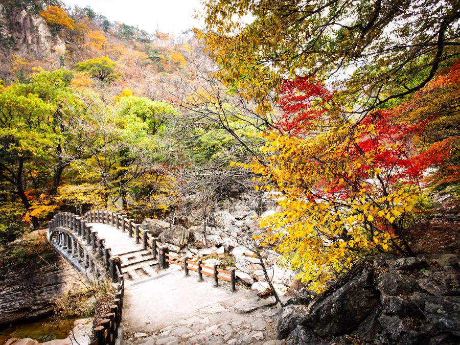 Công viên quốc gia Seoraksan - nơi thiên nhiên bừng nở sắc màu rực rỡ mỗi khi thu sang