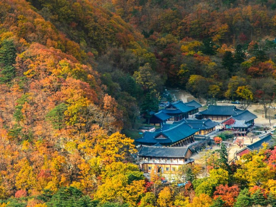 Công viên quốc gia Seoraksan - tọa độ không thể thiếu trong danh sách địa điểm du lịch Hàn Quốc mùa thu đẹp 