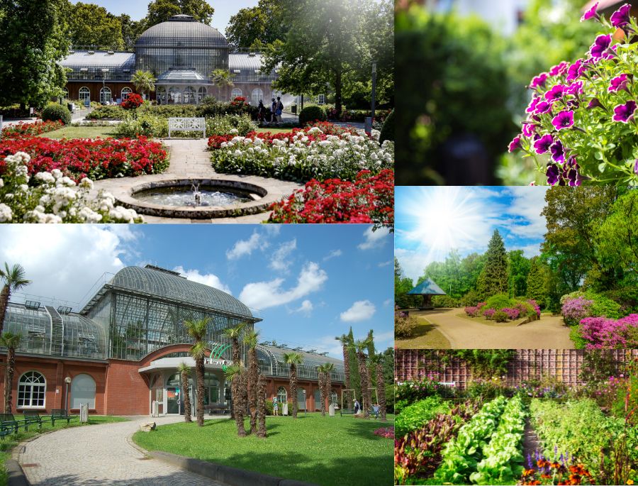 Khu vườn Palmengarten được thiết kế bởi kiến trúc sư đại tài Heinrich Siesmayer