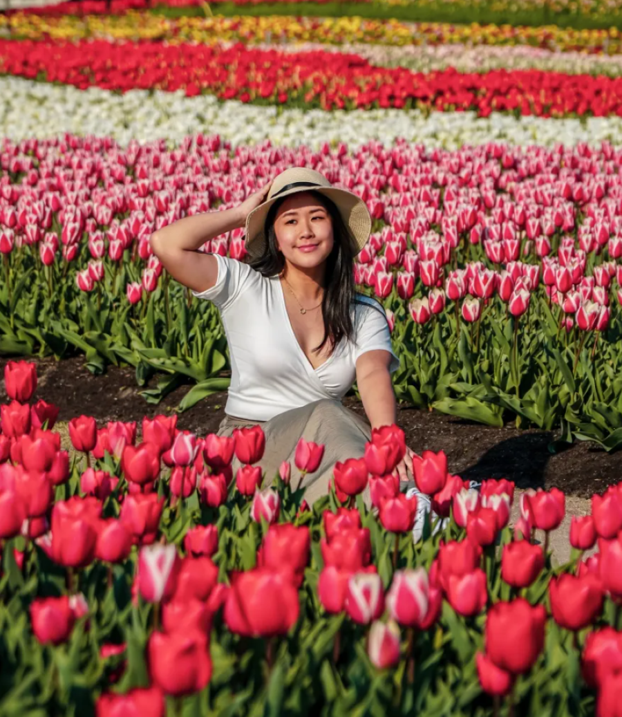 Nabana no Sato chào đón du khách bằng một bức tranh thiên nhiên thơ mộng và đầy màu sắc