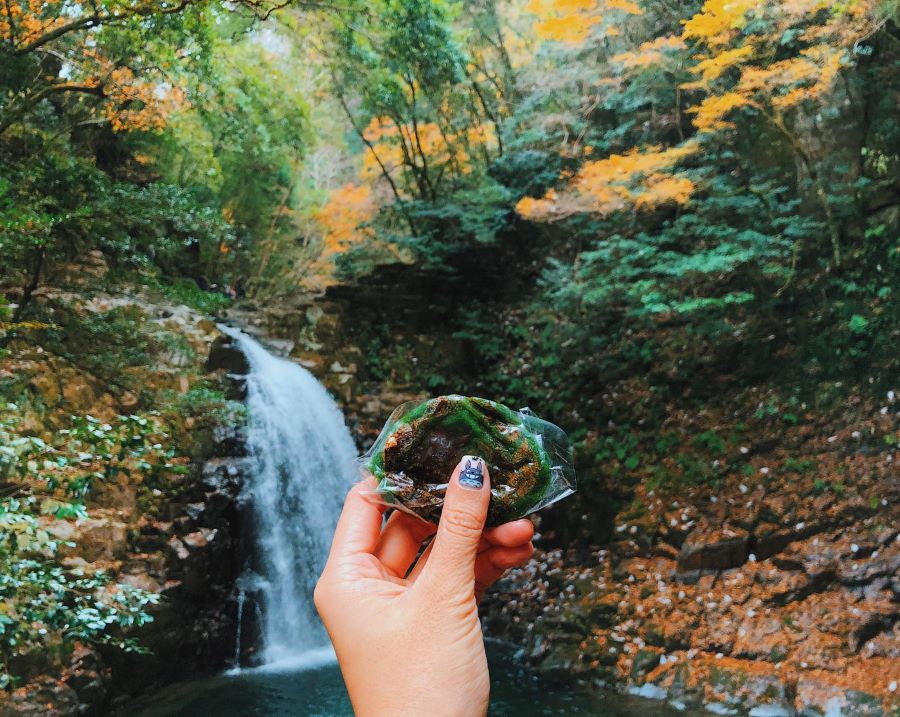 Du khách đến với Akame Shijuhachi sẽ được hòa mình vào thiên nhiên hoang sơ, tận hưởng bầu không khí trong lành