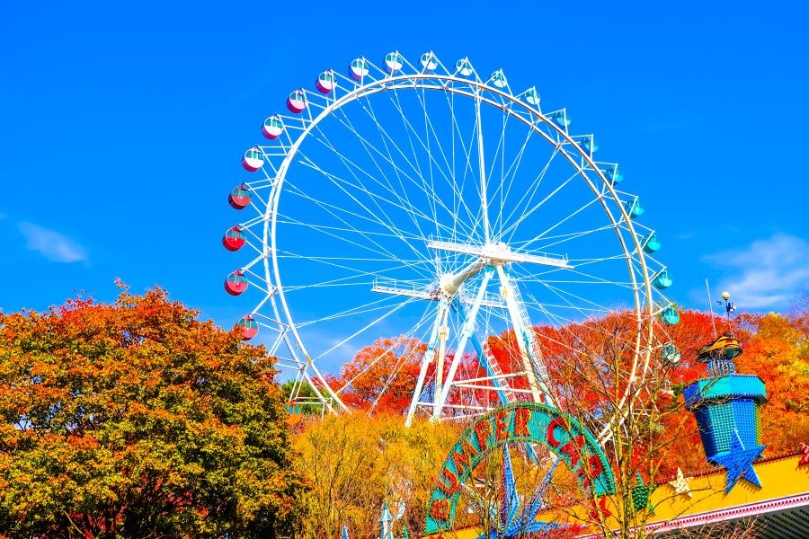 Khung cảnh tuyệt diệu của Everland vào mùa thu