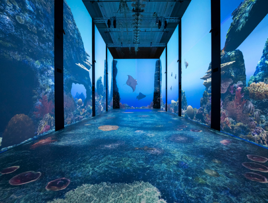 Khung cảnh tuyệt đẹp của thủy cung