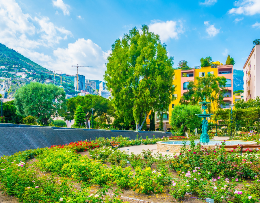 Vườn hoa hồng tọa lạc ở nơi có địa điểm đẹp