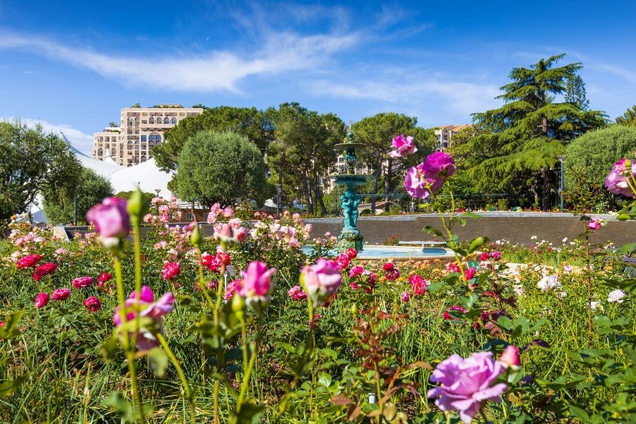 Vườn hồng Công chúa Grace tựa như viên ngọc quý lấp lánh giữa lòng Monaco