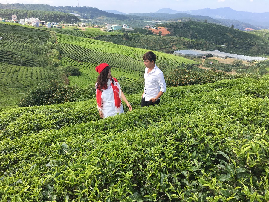 Địa điểm hẹn hò lý tưởng cho các cặp tình nhân tại Đà Lạt