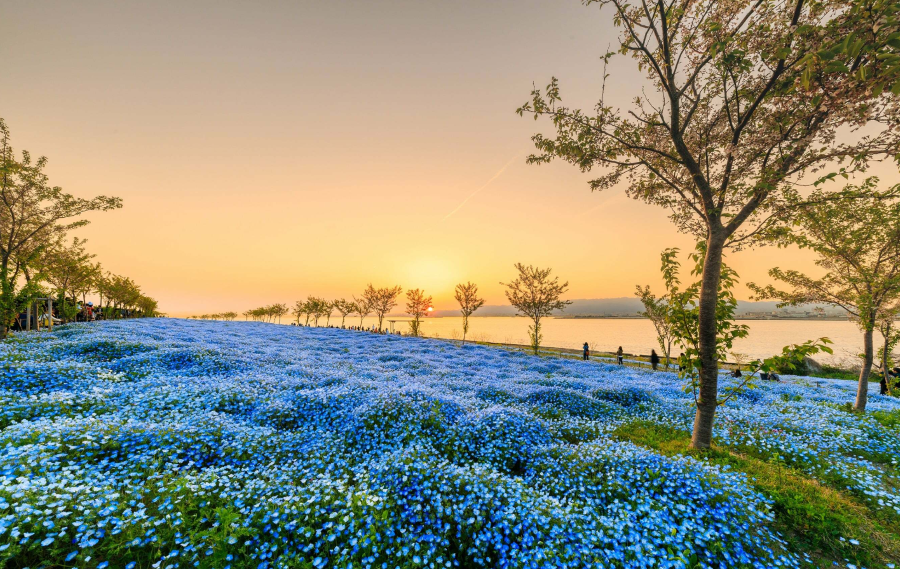 Khung cảnh mộng mơ trong buổi chiều hoàng hôn tại công viên