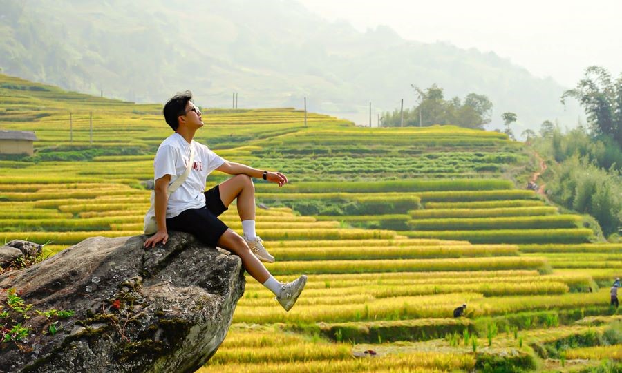 Mùa thu lúa chín tại Y Tý