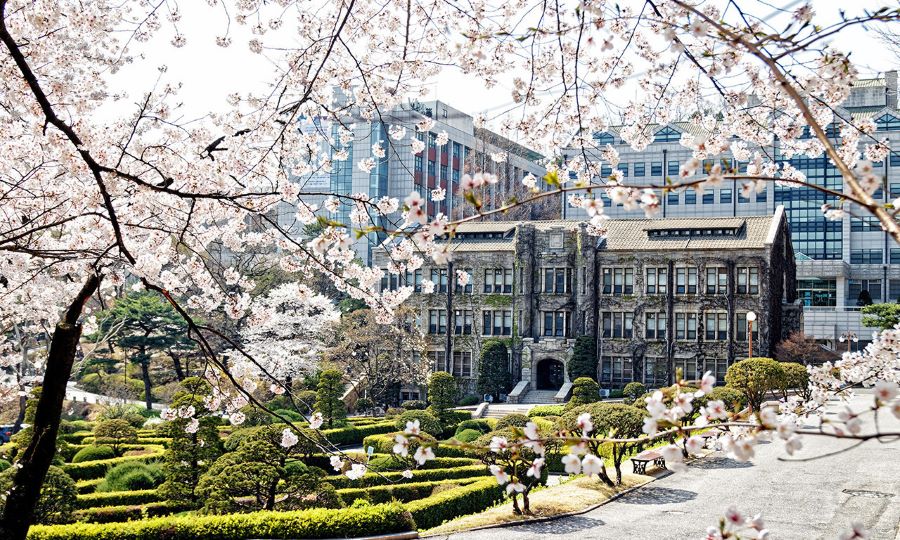 Khung cảnh lãng mạn thơ mộng tại Đại học Yonsei
