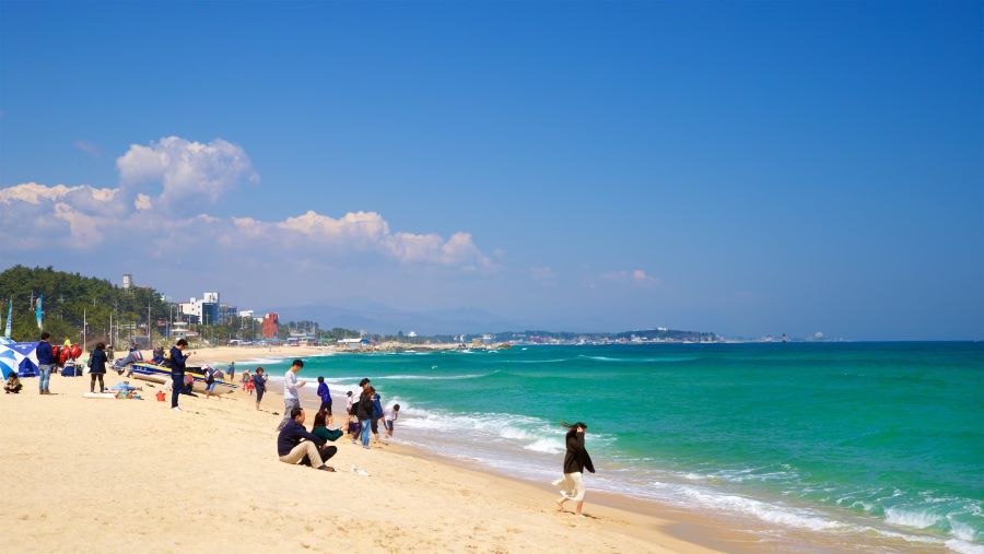 Dừng chân tại bãi biển Gyeongpo, du khách sẽ được thỏa sức bơi lội và ngâm mình dưới dòng nước biển trong xanh mát lành