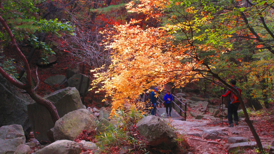 Công viên quốc gia Bukhansan như một bức tranh thủy mặc thanh bình giữa lòng đô thị