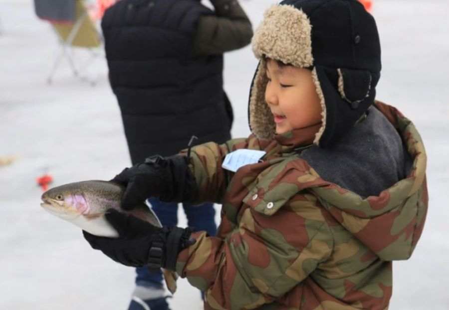 Hoạt động bắt cá hồi bằng tay trần vô cùng thú vị và kịch tính