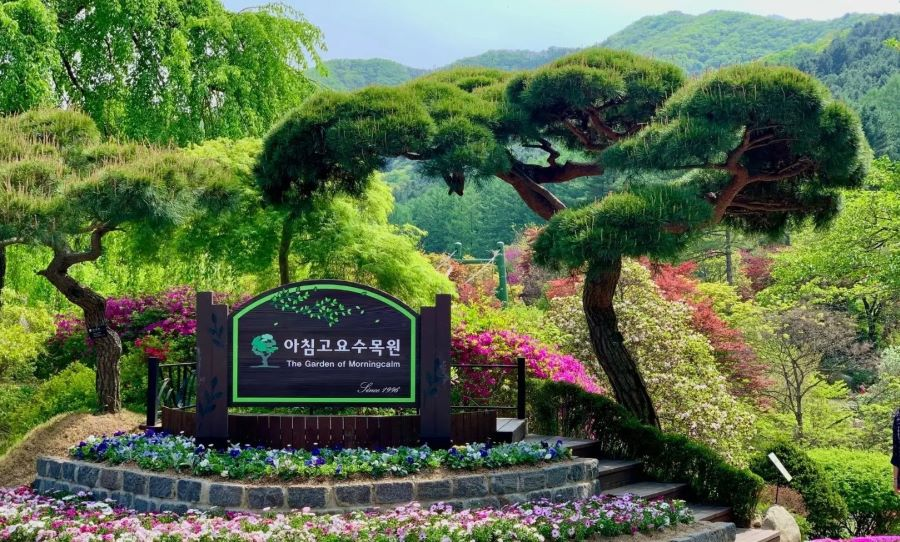 Morning Calm - khu vườn tư nhân có lịch sử lâu đời nhất tại Hàn Quốc
