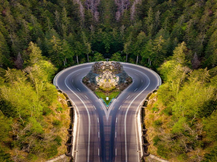 Vẻ đẹp đầy bí ẩn và quyến rũ của Rừng Đen chính là điểm hấp dẫn du khách phương xa nhất