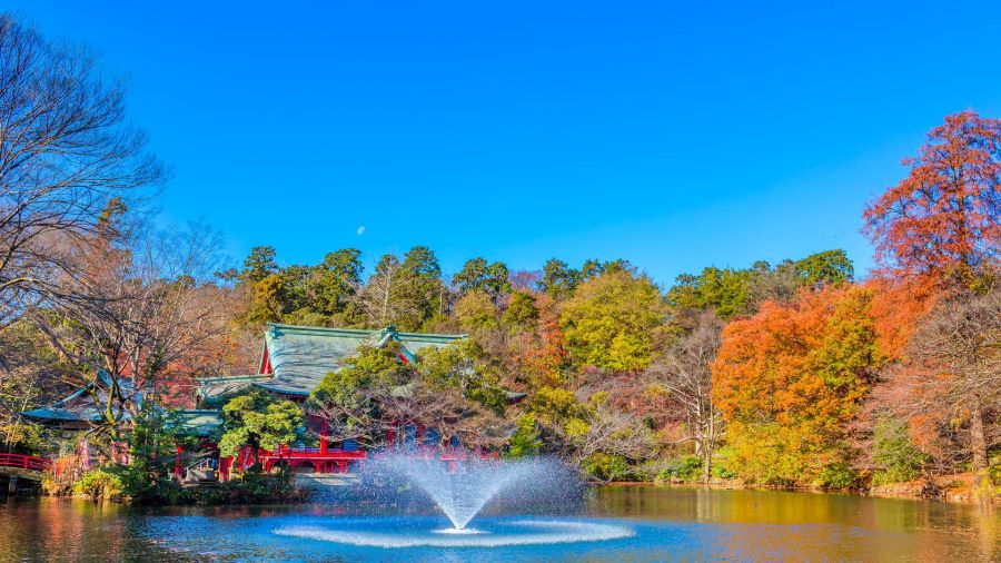Thu về, Tokyo khoác lên mình bộ áo choàng rực rỡ của mùa thu, níu chân du khách bởi vẻ đẹp cực kỳ lãng mạn và say đắm lòng người
