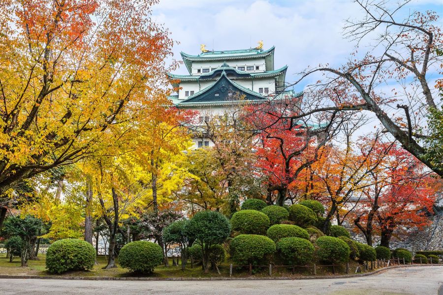 Khi thu sang, Nagoya khoác lên mình tấm áo mới rực rỡ sắc vàng, cam và đỏ của những tán lá phong khắp mọi nơi
