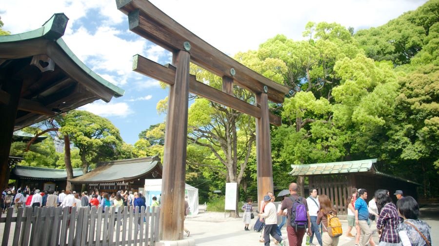 Meiji Jingu, ngôi đền Thần đạo nổi tiếng và linh thiêng bậc nhất thủ đô Tokyo