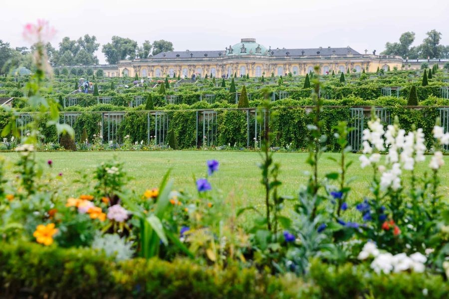 Cung điện Sanssouci sở hữu một khu vườn rộng lớn với vô số các loài hoa