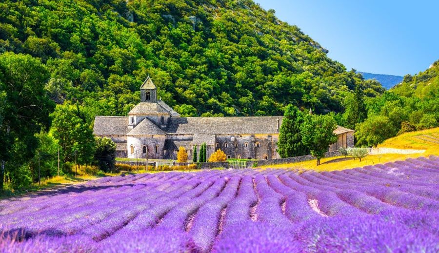 Sắc tím oải hương rực rỡ như nhuộm cả một vùng trời Provence