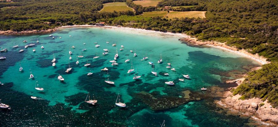 Quần đảo Hyères - tọa độ lý tưởng để hòa mình vào thiên nhiên tươi đẹp