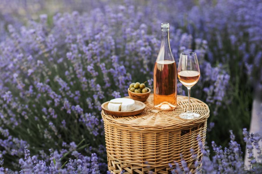 Đến với Provence, du khách còn có cơ hội khám phá nét văn hóa địa phương độc đáo 