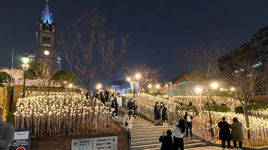 Vườn hoa hồng ánh sáng tại Dongdaemun