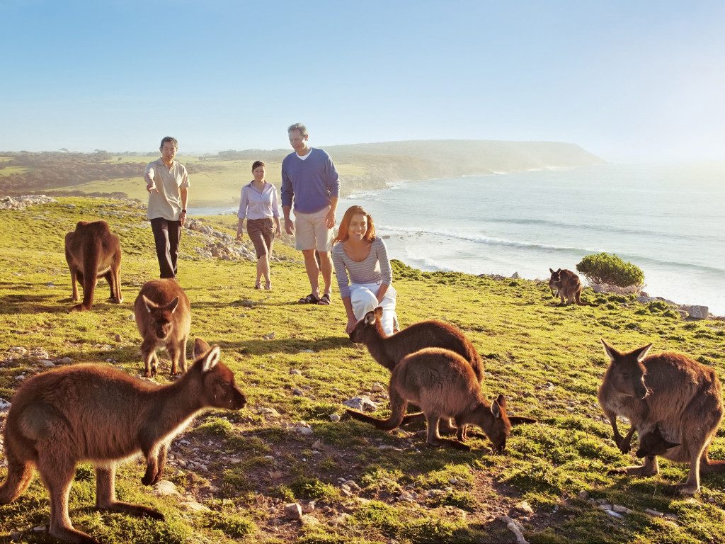 Điều du khách tuyệt đối không nên làm khi đến du lịch Úc