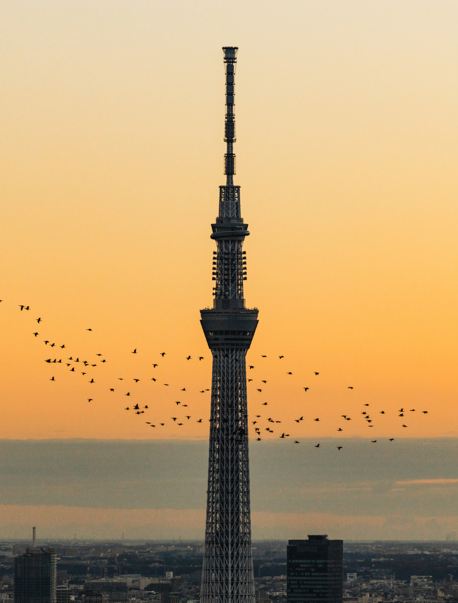 Tokyo Skytree, với chiều cao ấn tượng, là một trong những biểu tượng của thủ đô Tokyo