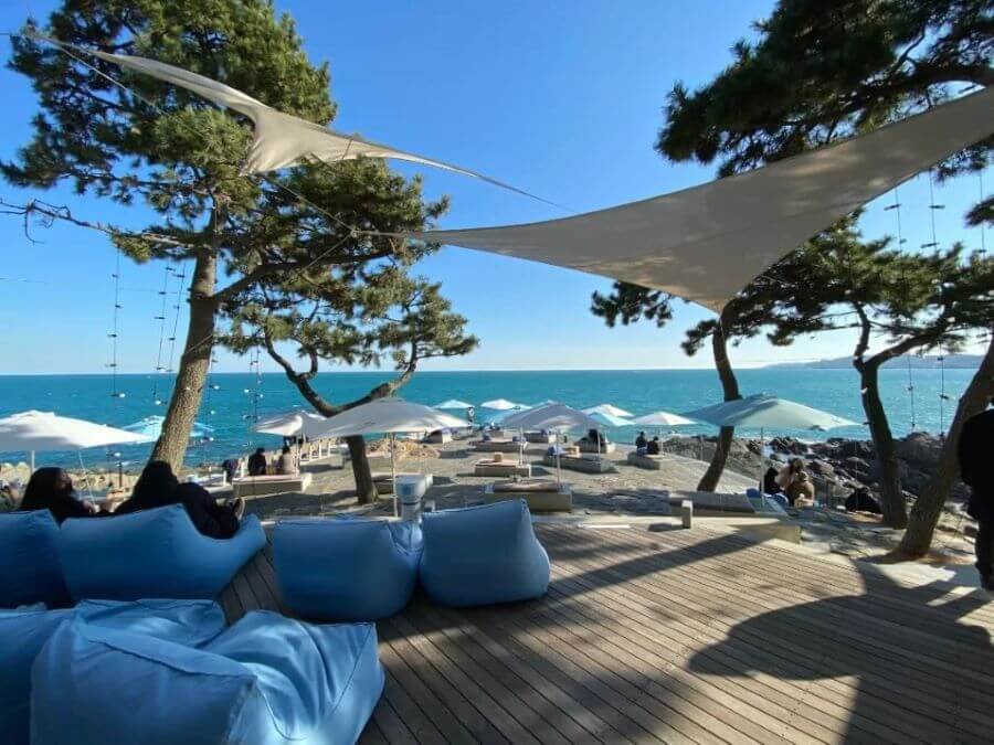 Waveon Coffee nổi bật với thiết kế hiện đại, tinh tế và chiếc view ngắm trọn biển xanh “cực chill”