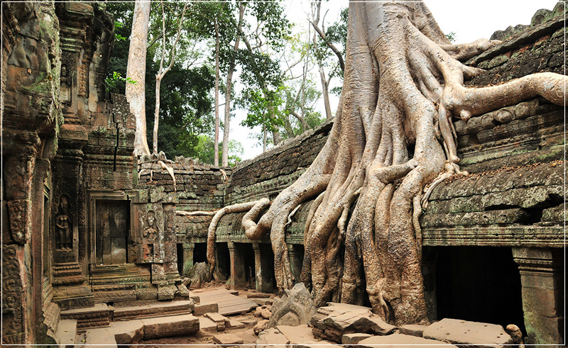 "Hú hồn" chỉ với hơn 3 triệu cũng có thể du lịch nước ngoài