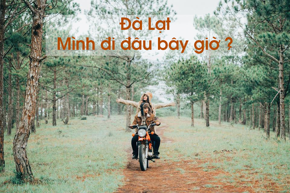 Du lịch Đà Lạt khám phá trọn vẹn thành phố sương mù 