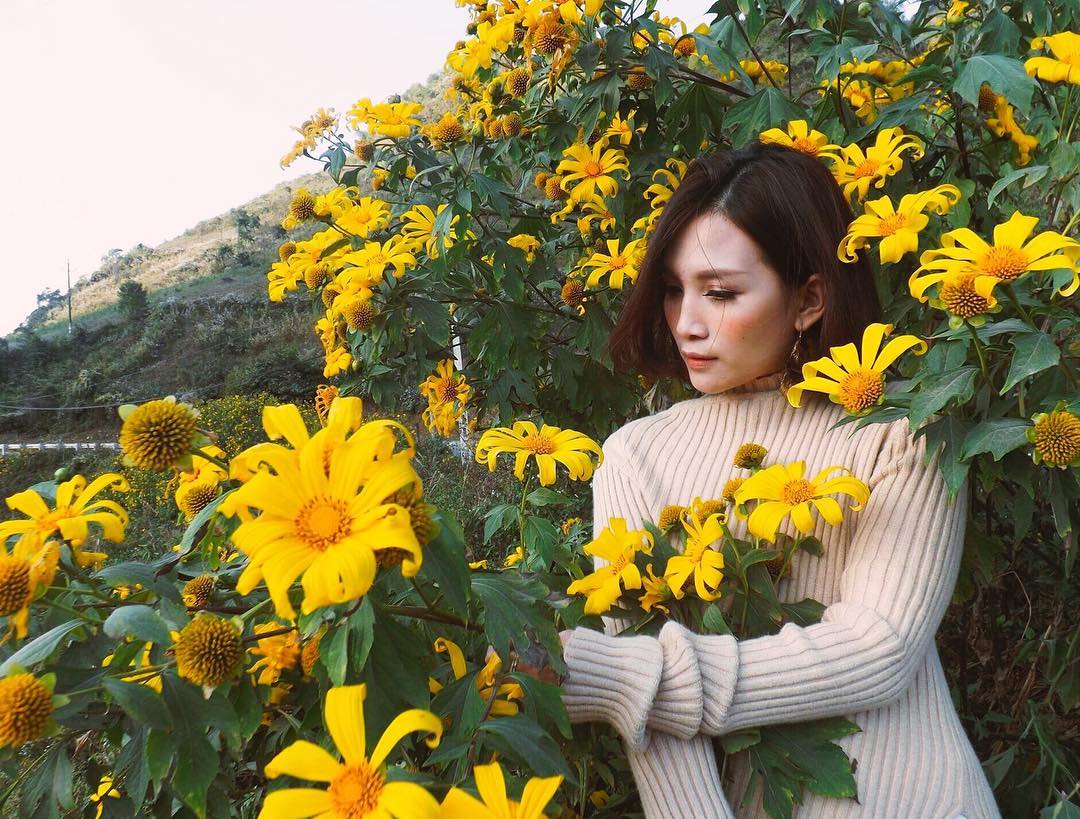 Du lịch Đà Lạt khám phá trọn vẹn thành phố sương mù 