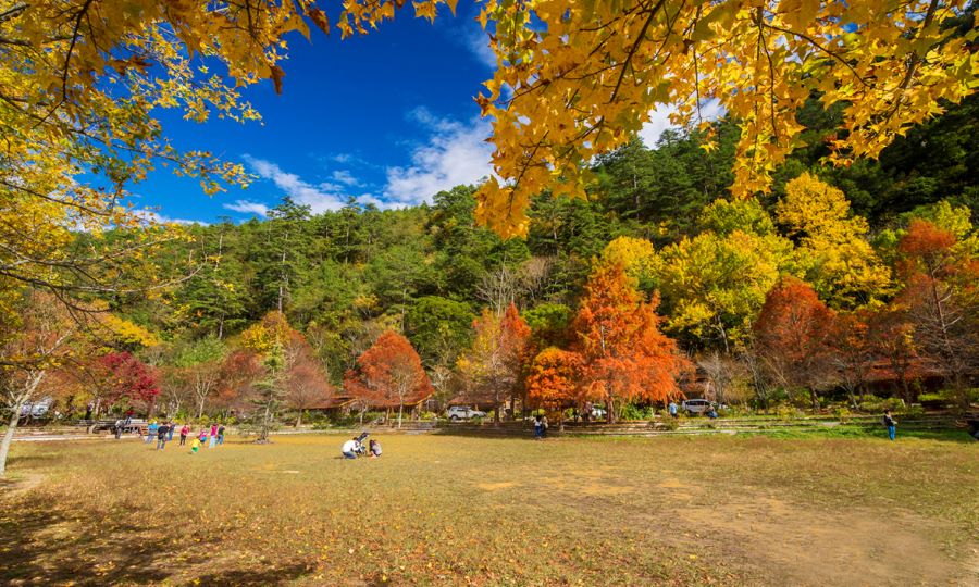 Đặc điểm từng mùa tại Đài Loan