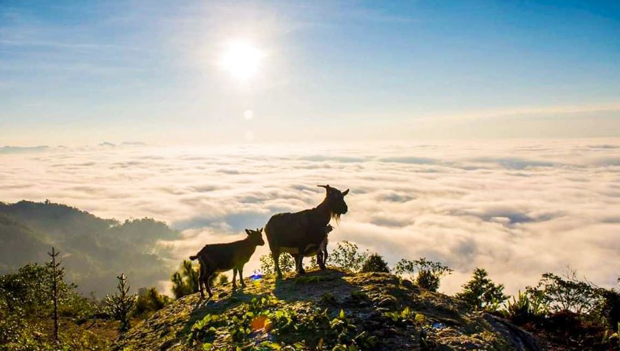 Săn mây mùa hè tại Hà Giang cũng là một trong những trải nghiệm đáng nhớ mà bạn không nên bỏ qua