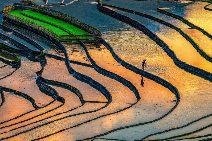 Hoàng Su Phì mùa nước đổ đẹp đến nao lòng