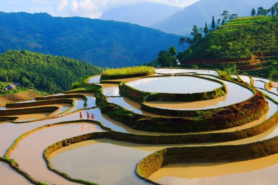 Hoàng Su Phì mùa nước đổ đẹp đến nao lòng