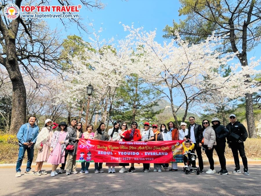 Đoàn Khách Top Ten Travel tham quan mùa hoa anh đào tại Nhật Bản