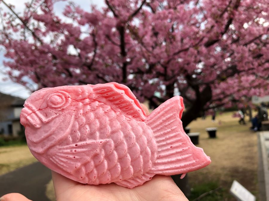 Bánh cá nhân đậu đỏ truyền thống được người Hàn sáng tạo với phần vỏ màu hồng đẹp mắt làm từ hoa anh đào 