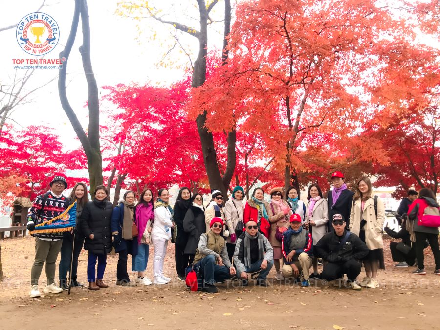 Nhiều người lựa chọn Nami là điểm đến hấp dẫn trong hành trình du lịch mùa thu tại Hàn Quốc