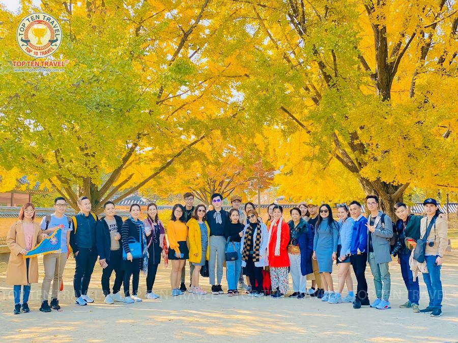 Đoàn khách tham gia tour du lịch khám phá mùa thu Hàn Quốc tại Top Ten Travel