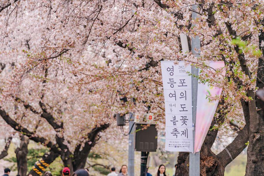 Chuyến hành trình khám phá xứ Hàn sẽ càng trở nên thú vị nếu bạn đến khám phá những địa điểm du lịch nổi tiếng tại đây