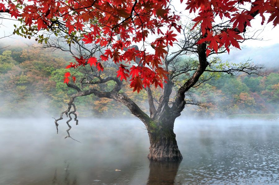 Jusanji - điểm dừng chân lý tưởng dành cho những tâm hồn đầy mộng mơ