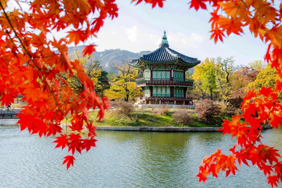 Sắc thu nhẹ nhàng và lãng mạn tại Cung điện Gyeongbokgung
