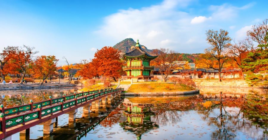 Những tòa nhà truyền thống lặng lẽ soi bóng trên mặt hồ tĩnh lặng tại Gyeongbokgung