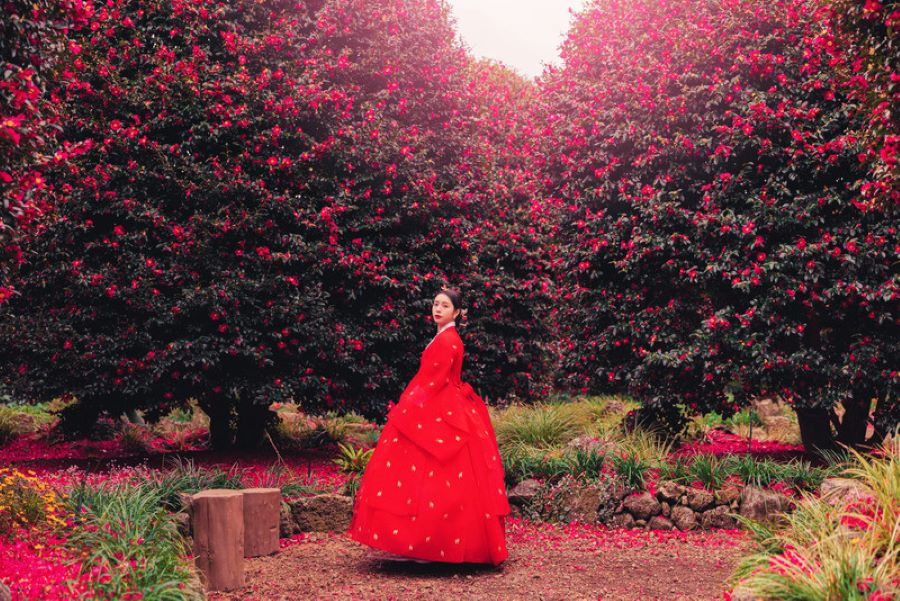 Những bông hoa trà đua nhau nở khoe sắc làm say lòng biết bao du khách từ khắp mọi nơi