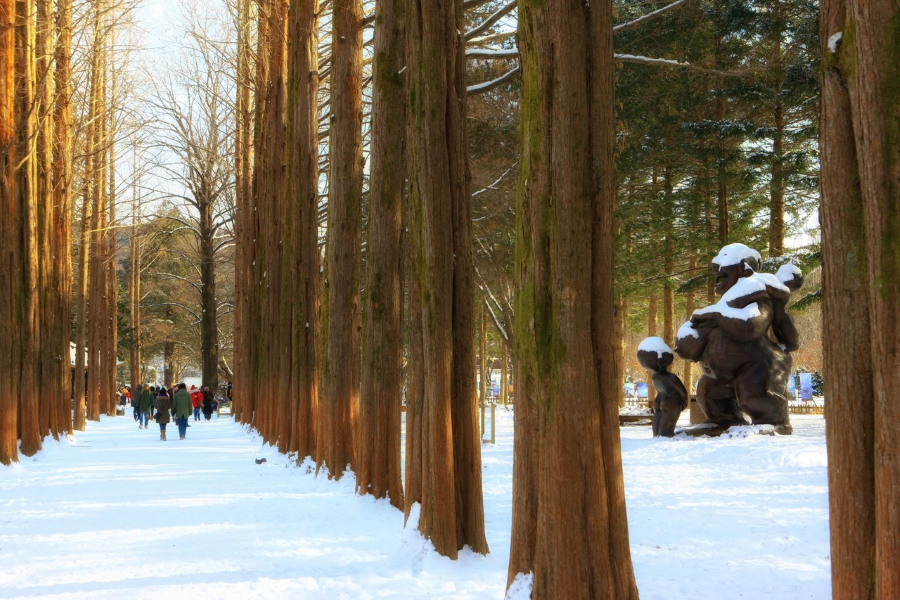 Đảo Nami là một trong những điểm đến lý tưởng cho chuyến Hàn Quốc tháng 12 này