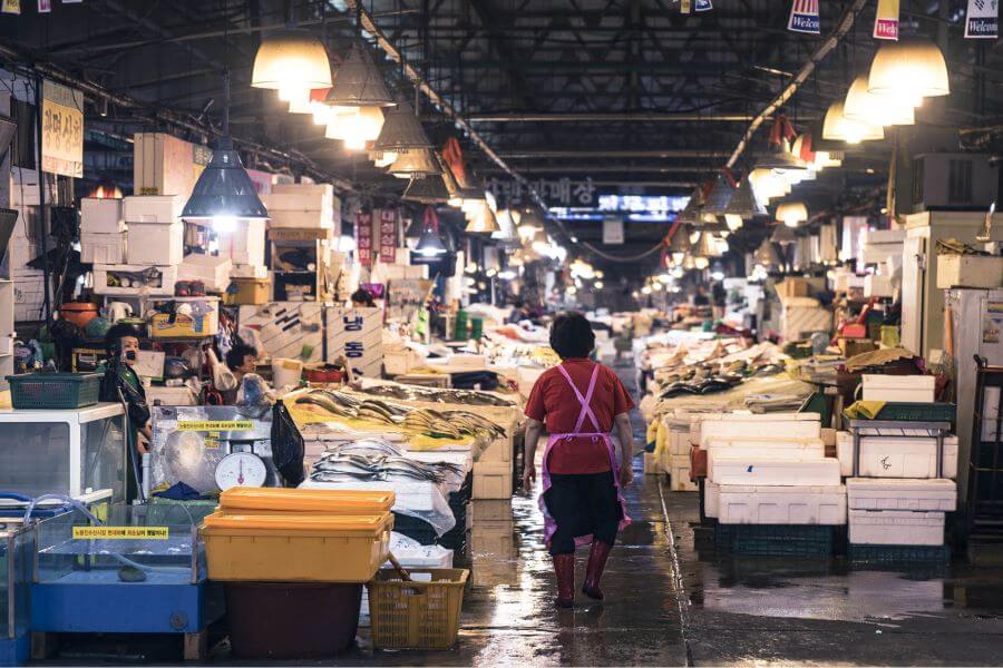 Bạn sẽ được thưởng thức những món hải sản tươi ngon nhất ngay tại chỗ, một trải nghiệm ẩm thực vô cùng tuyệt vời