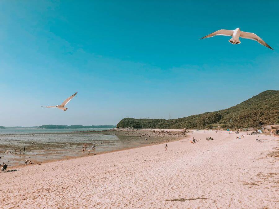 Với vẻ đẹp thiên nhiên đa dạng, đảo Muuido là một điểm đến không thể bỏ qua trong hành trình khám phá Hàn Quốc