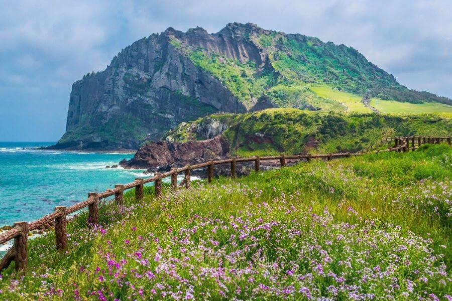 Đảo Jeju từ lâu đã nổi tiếng là một điểm đến hấp dẫn tại Hàn Quốc
